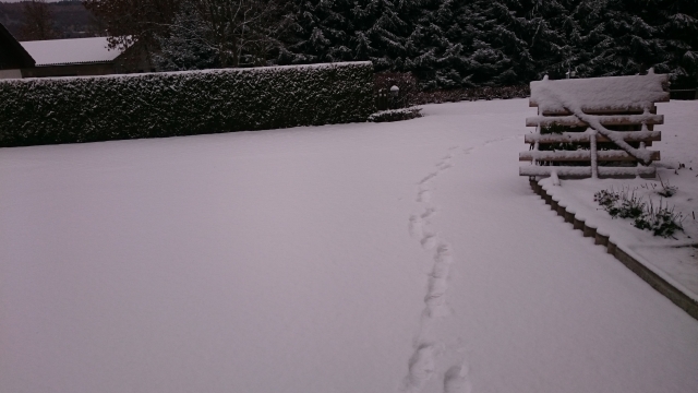 Fußspuren im Schnee 20181119