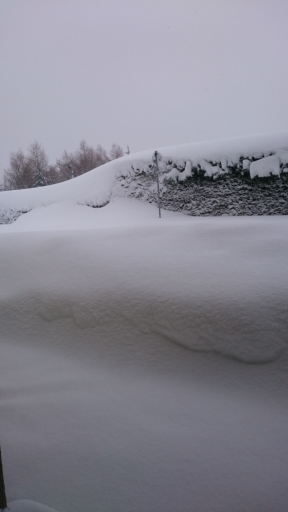 77cm Schnee Bild8 20190110