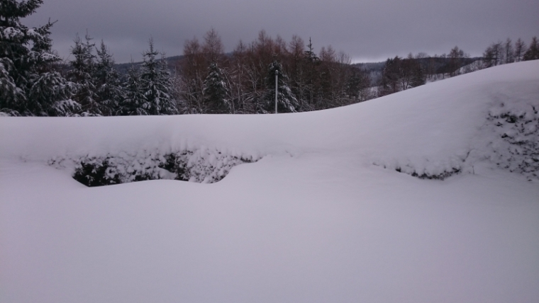 77cm Schnee Bild7 20190110