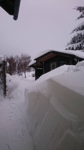 77cm Schnee Bild2 20190110