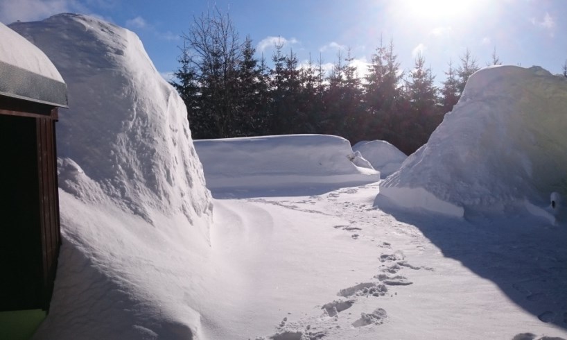 103cm Schnee 20190204