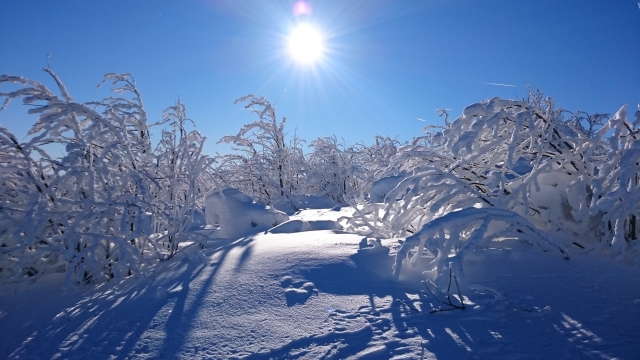 Sonne und Schnee Fichtelberg 20160122