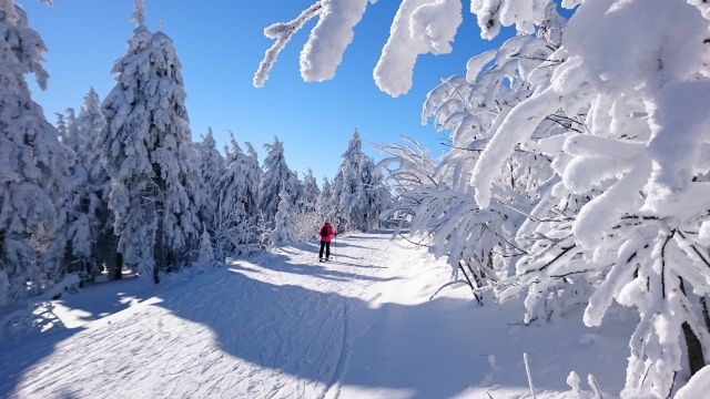 Skiläuferin am Fichtelberg 20160121