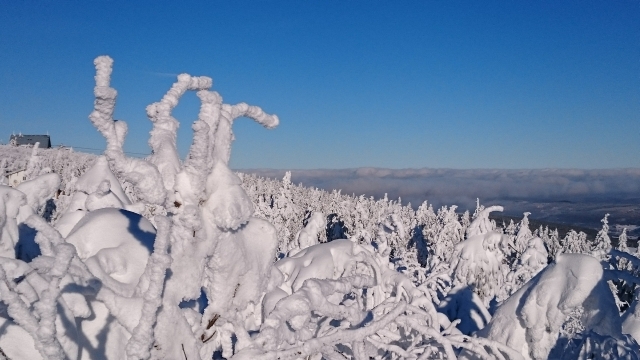 Blick vom Kleinen Fichtelberg 20160121