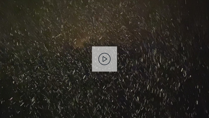 Vorschaubild Video Schneefall 20201119