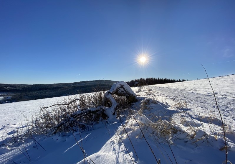 Bild3 Kaiserwetter 20191229