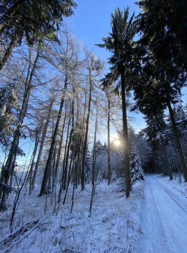 Bild5 Kaiserwetter 20191229