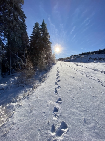 Bild8 Kaiserwetter 20191229