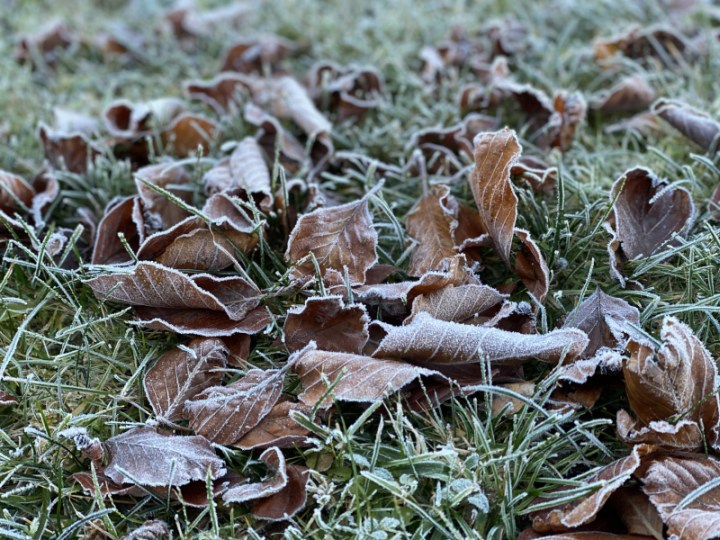 Bild3 Frost 20201106