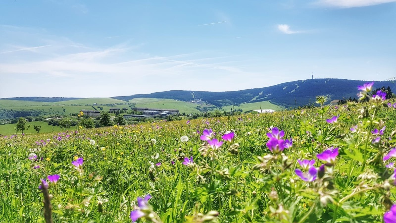 Foto Oberwiesenthal 20190609