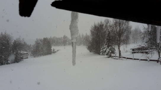 77cm Schnee Bild 5 20190110