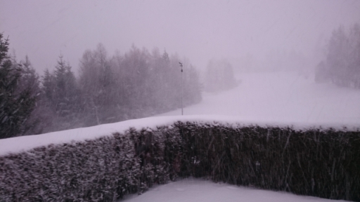 Schneegewitter 20180116