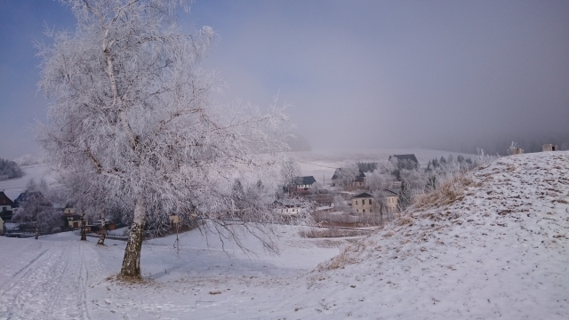 Raureif Bärenlohe 20180207