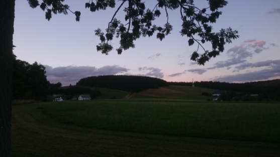 Blick zum Bachberg 20180811