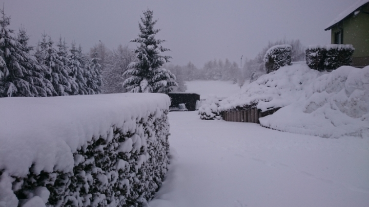 Winterlandschaft zu Heiligabend 2018