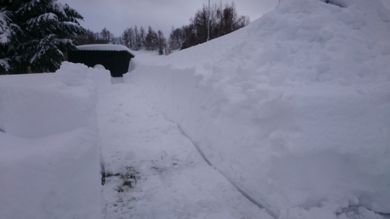 Wege durch den Schnee 20190112