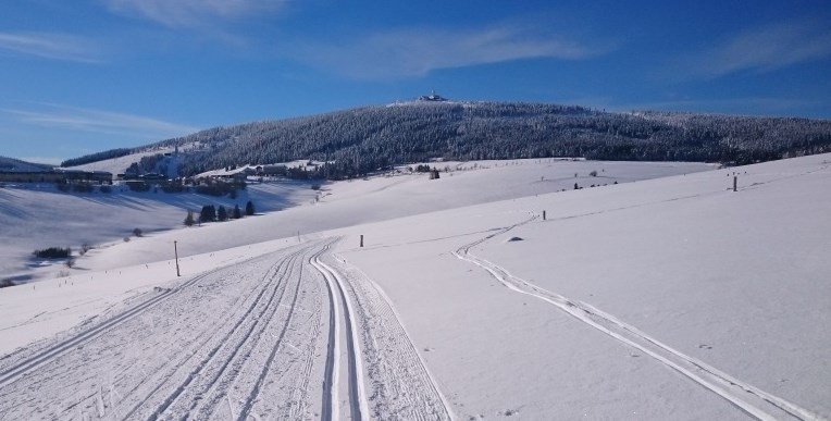 Traumwinterwetter 20190119