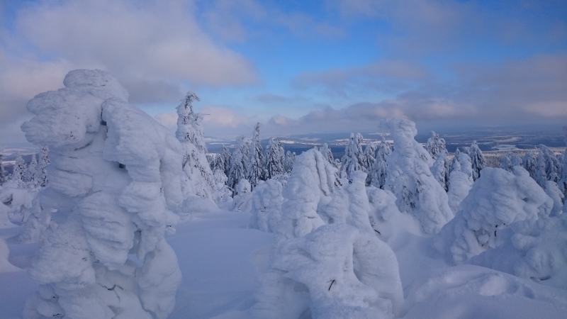 Traumwinterwetter Bild3 20190121