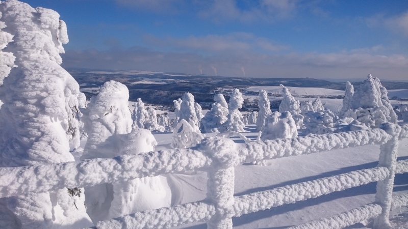 Traumwinterwetter Bild1 20190121