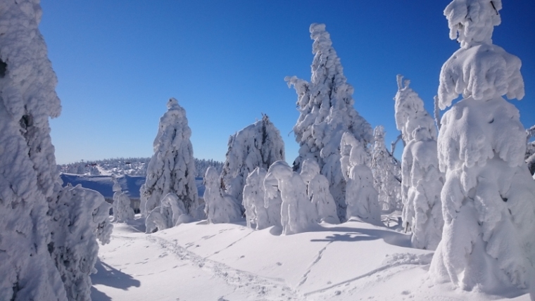 Traumwinterwetter 20190130