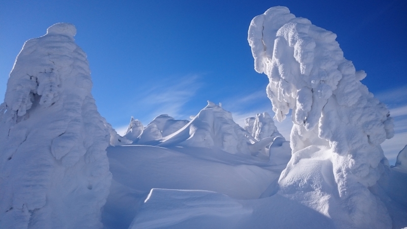 Schneeskulpturen 20190131