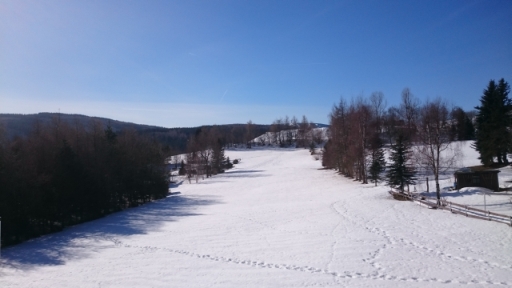 Geschlossene Schneedecke 20190223