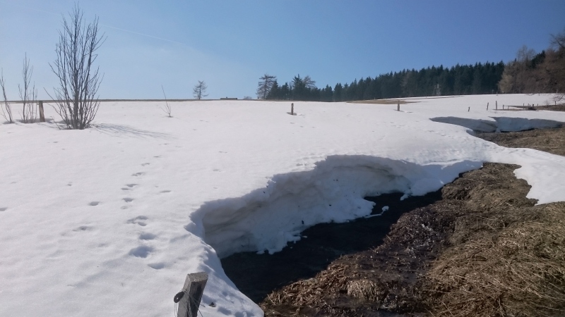 Frühling und Schneereste 20190323