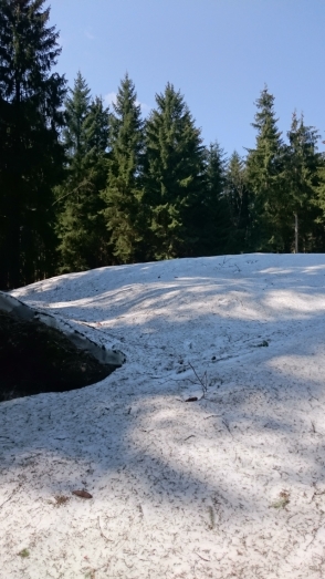 Bild2 Schneereste 20190406